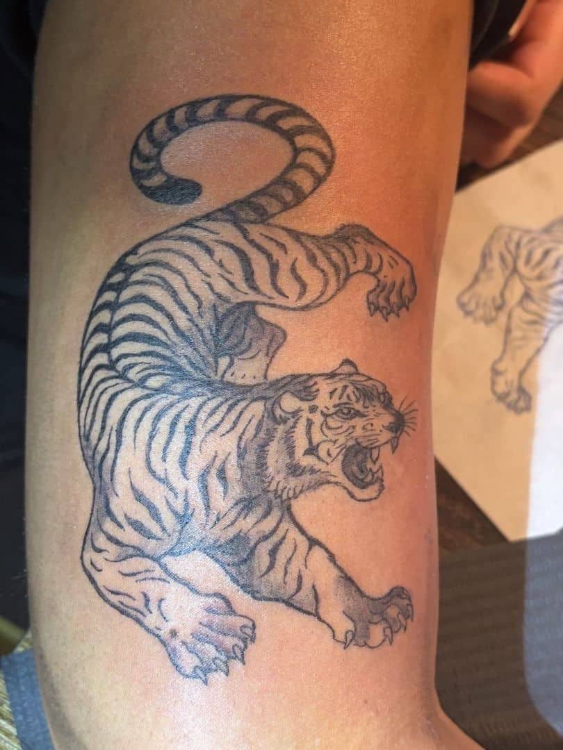 Tattoo by Jake Brewer, prowling tiger in black and grey on an upper arm